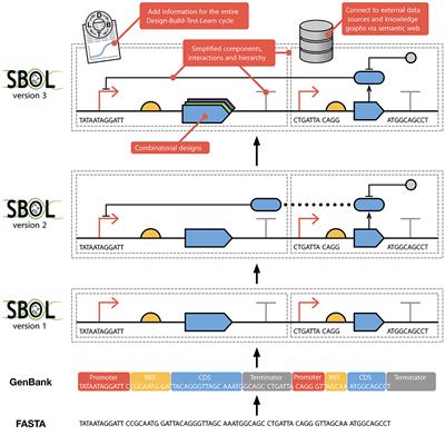 The Synthetic Biology Open Language (SBOL) Version 3: Simplified Data Exchange for Bioengineering